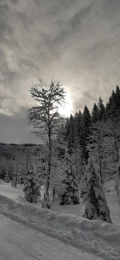 Pension Und Appartement Weinschreiber Rauris Exteriér fotografie