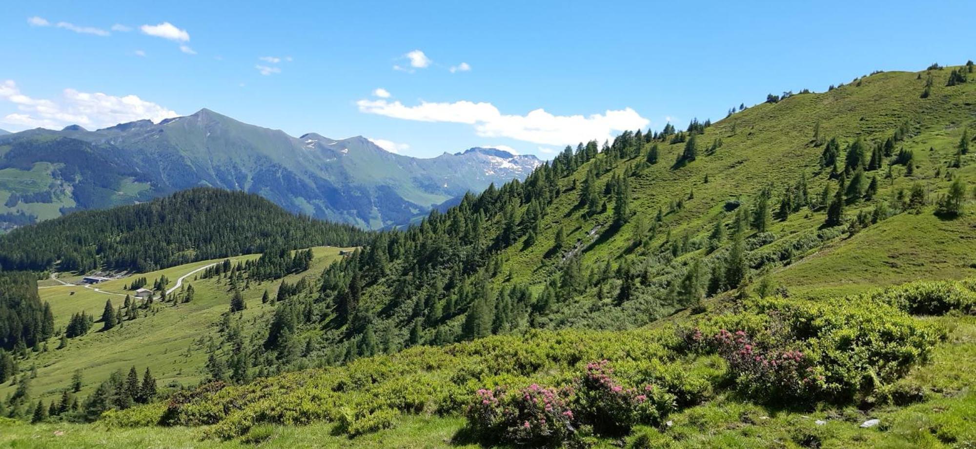 Pension Und Appartement Weinschreiber Rauris Exteriér fotografie