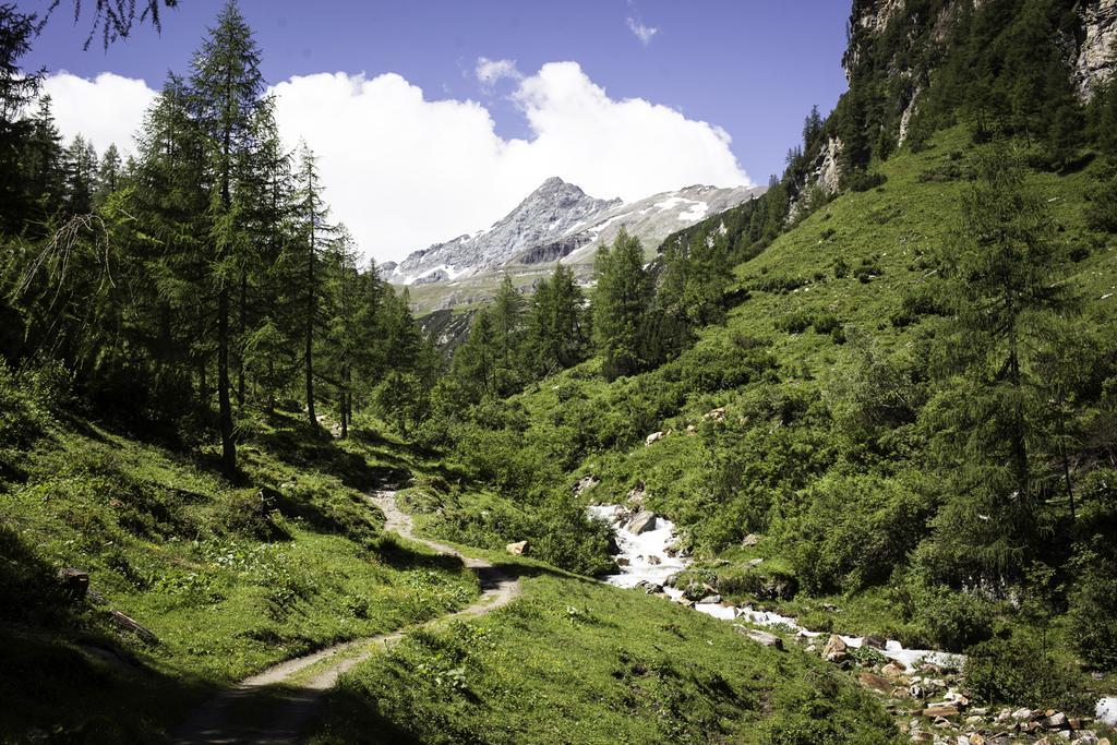 Pension Und Appartement Weinschreiber Rauris Exteriér fotografie
